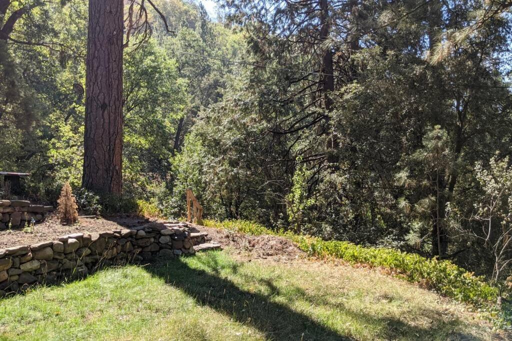 Pierce'S Cabin Miramonte Kültér fotó